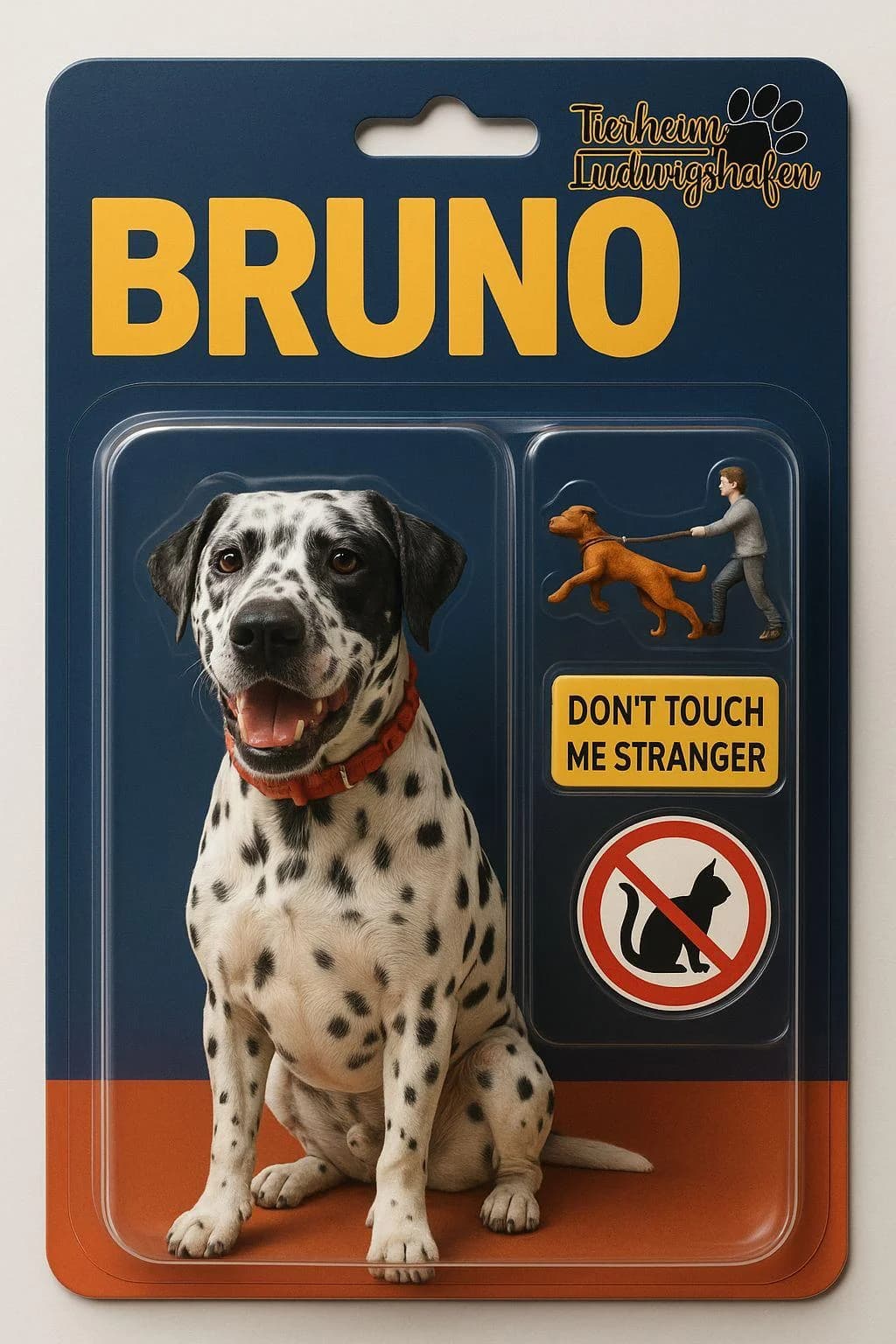 Bruno, male senior mixed breed for adoption at Tierheim Ludwigshafen, Ludwigshafen/Rheim