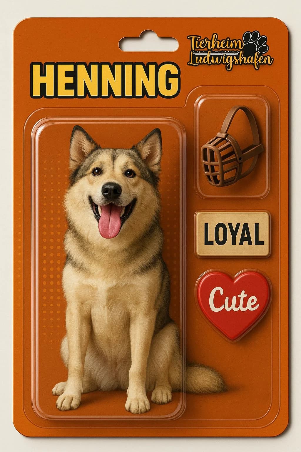 Henning, male young Mixed Breed for adoption at Tierheim Ludwigshafen, Ludwigshafen/Rheim