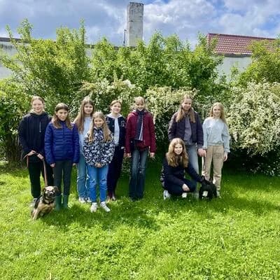 Girls´and Boys´Day 2026, Mixed Breed for adoption at Tierheim Magdeburg, Magdeburg