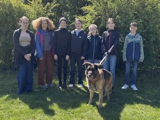 Zuhause gesucht, male Mixed Breed for adoption at Tierheim Magdeburg, Magdeburg