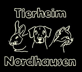 Stella, young mixed breed for adoption at Tierheim Nordhausen, Nordhausen