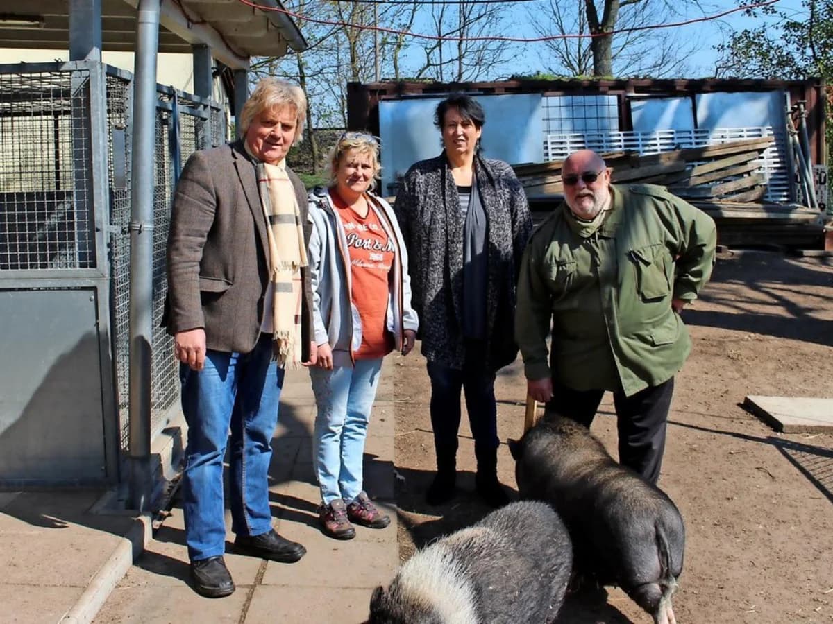 90 Jahre Tierschutzverein Peine und Umgegend e.V., 7yo Mixed Breed for adoption at Tierheim Peine, Peine