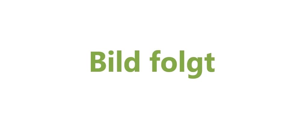 RUBI *keine weiteren Anfragen*, female young Mixed Breed for adoption at Tierheim Peine, Peine