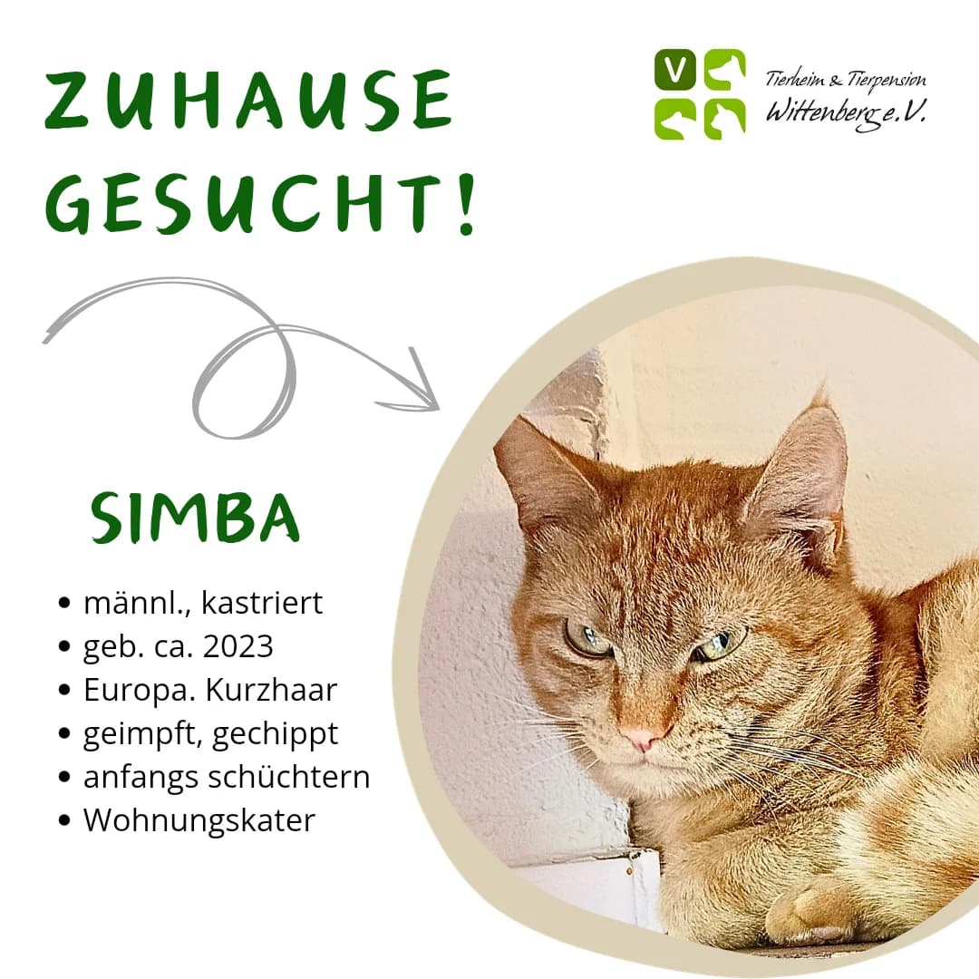 Mia, Mixed Breed for adoption at Tierheim Wittenberg e.V.