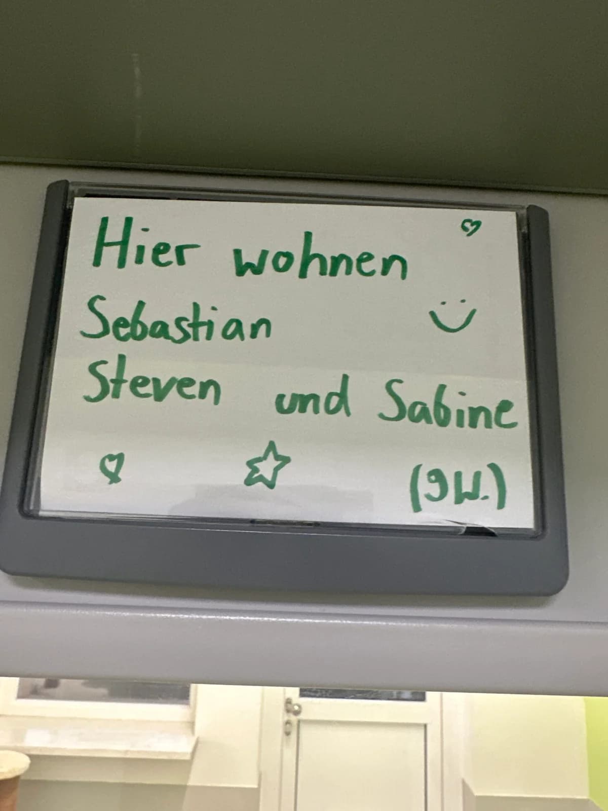 3 Katzenkinder Sebastian , Steven und Sabine, Mixed Breed for adoption at Tierschutz Zeitz e.V.