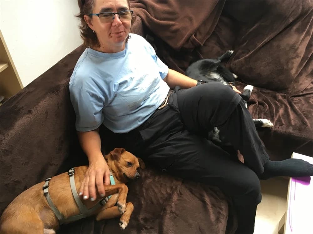 Canelo, male Mixed Breed for adoption at Tierhilfe Lebenswert e.V.