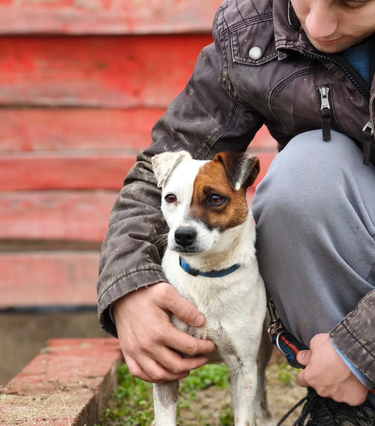 Trixie, male Mixed Breed for adoption at Tierhilfe Pfotentraum Chance auf Leben e.V., Linden