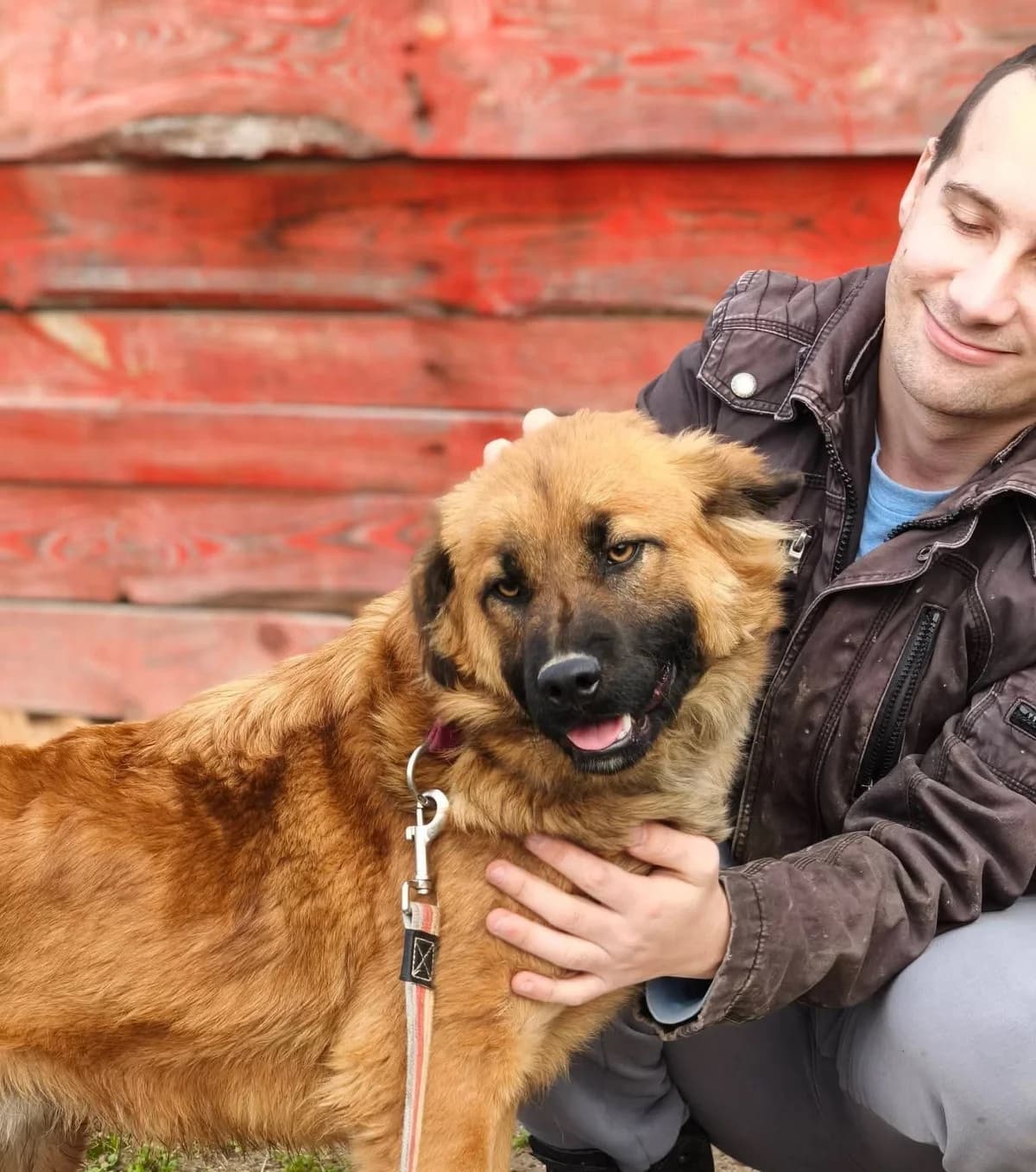 Hugo, male puppy Mixed Breed for adoption at Tierhilfe Pfotentraum Chance auf Leben e.V., Linden