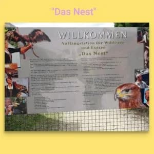 Ausflug in die Tierauffangstation ‚Das Nest‘, Mixed Breed for adoption at Tierhilfe Weidenberg