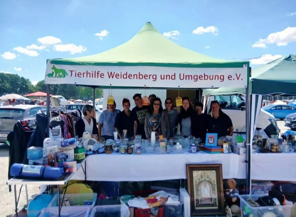 Flohmarkt Bayreuth, Mixed Breed for adoption at Tierhilfe Weidenberg