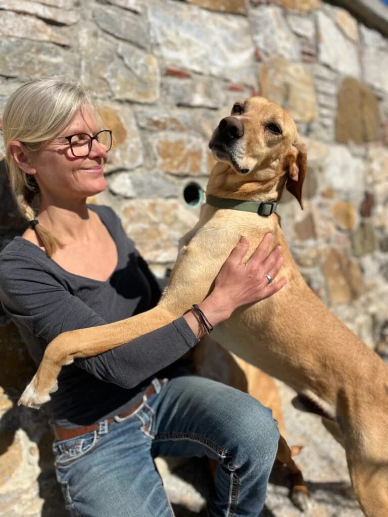PRASO, male 4yo Mixed Breed for adoption at Tierisch Grenzenlos e.V., Bamberg