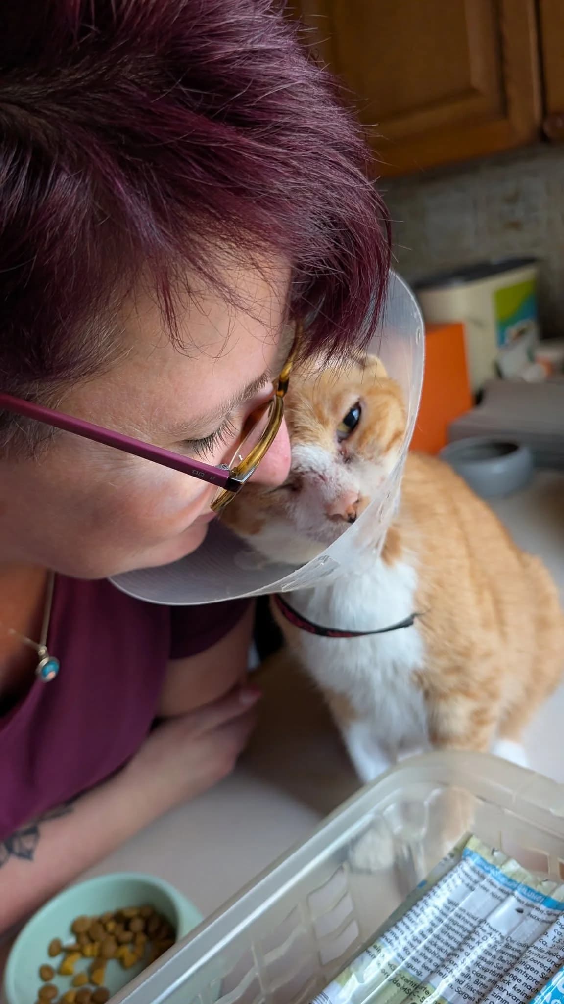 Charles, male senior Mixed Breed for adoption at Tierschutz Euskirchen e.V.
