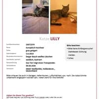 Lilly, Mixed Breed for adoption at Neuer Tierschutzverein Weißenfels e.V., Halle (Saale)