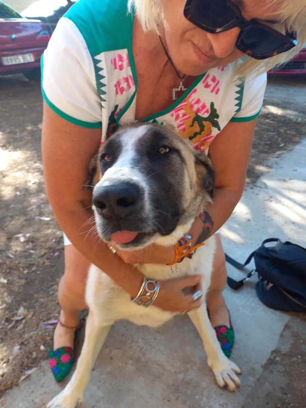 Curro –, Mixed Breed for adoption at Tierschutzverein ARCA e.V., Gernsbach