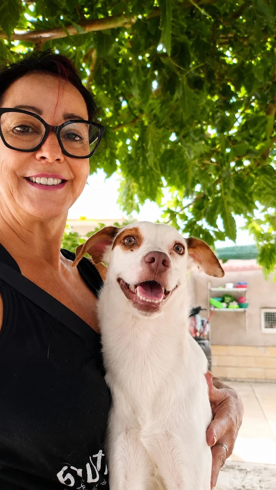 Arlo, male puppy Mixed Breed for adoption at Tierschutzverein ARCA e.V., Gernsbach