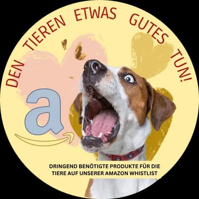 Mina, Podenco for adoption at Tierschutzverein Freiburg, Freiburg