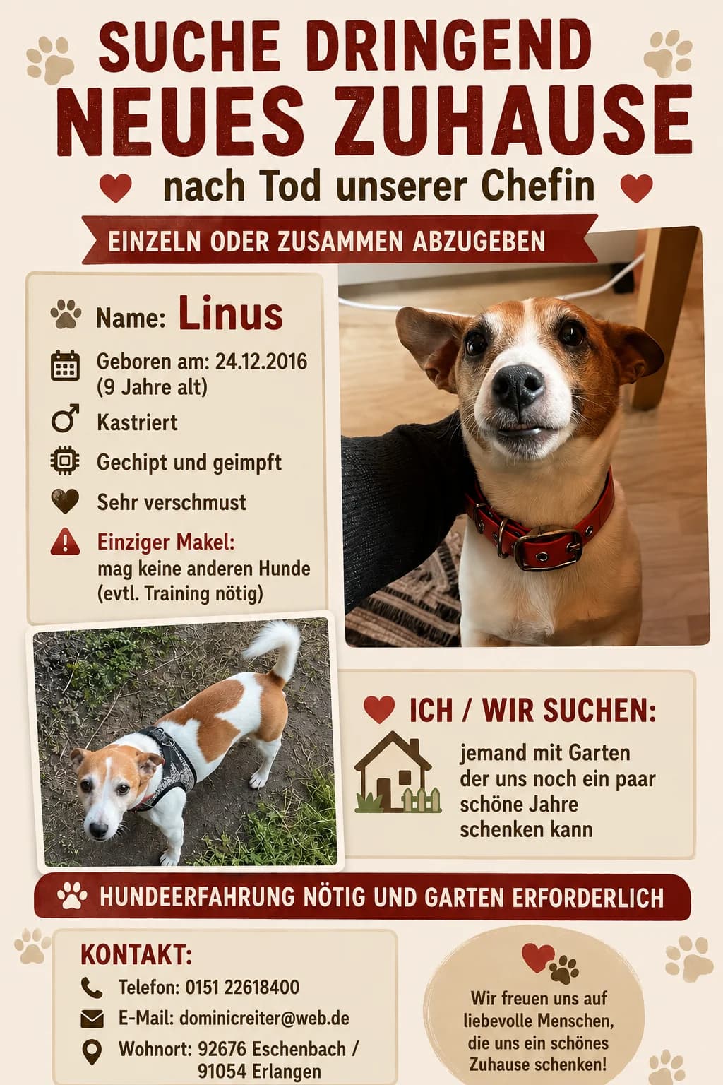 Linus, senior Mixed Breed for adoption at Tierschutzverein Gunzenhausen und Umgebung e.V., Gunzenhausen