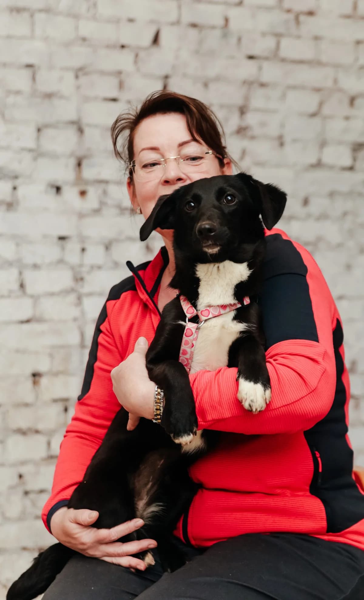 Brika | H26-1078, female Mixed Breed for adoption at Tierschutzverein House of animals Marfino eV, Jessen (Elster)