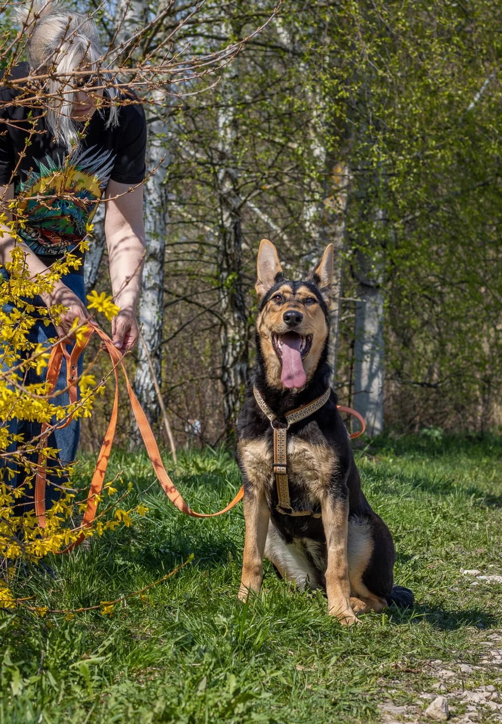 Nula | H26-1095, female Mixed Breed for adoption at Tierschutzverein House of animals Marfino eV, Jessen (Elster)