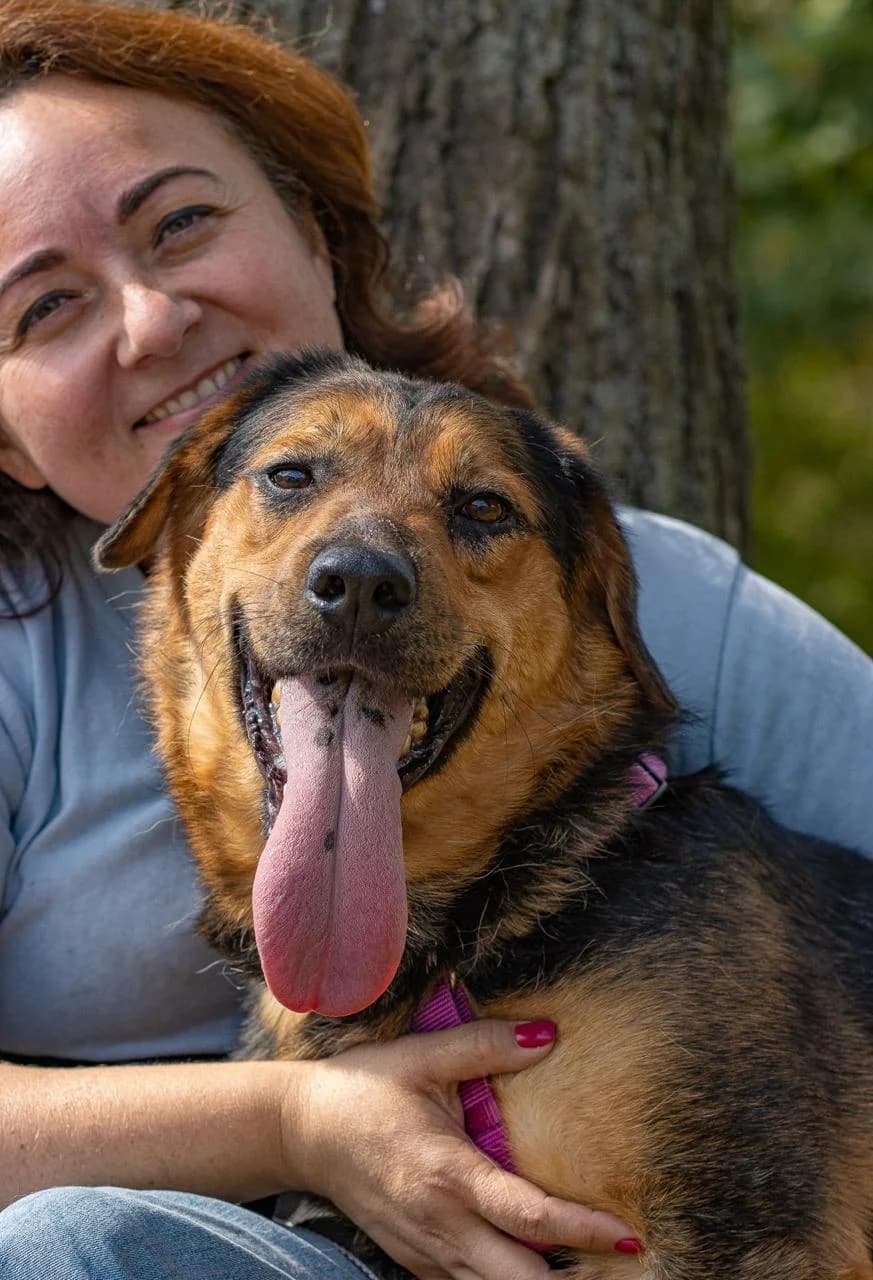 Emma, female young Mixed Breed for adoption at Tierschutzverein House of animals Marfino eV, Jessen (Elster)