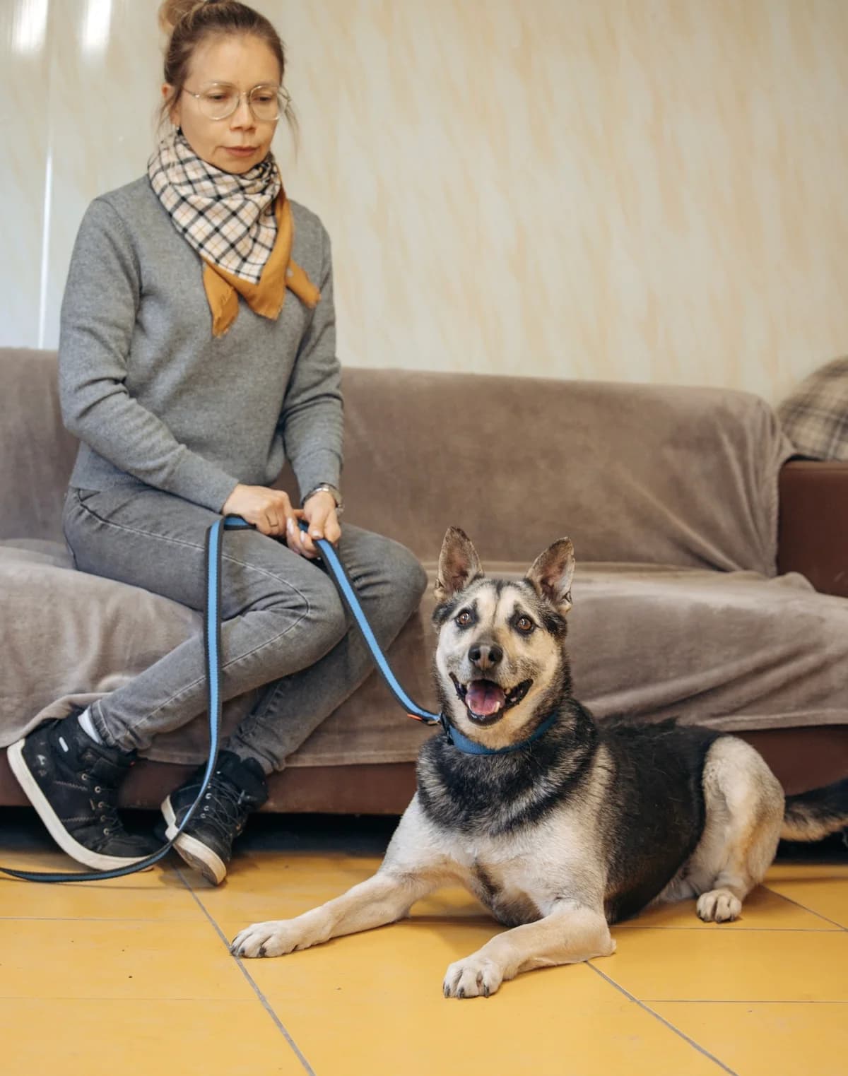 Levon, male 5yo Mixed Breed for adoption at Tierschutzverein House of animals Marfino eV, Jessen (Elster)