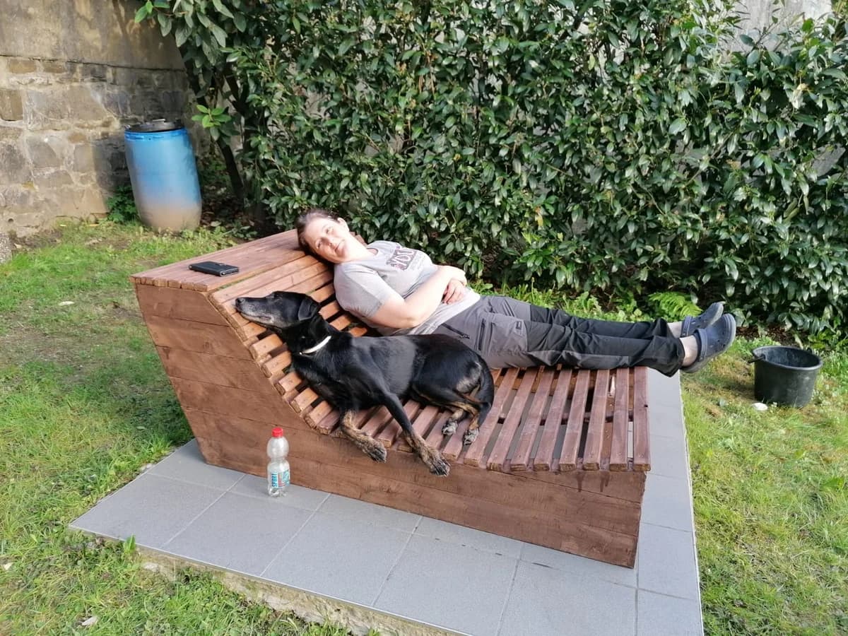 Post von Barny, Mixed Breed for adoption at Tierschutzverein Hundehilfe Hinterland e.V.