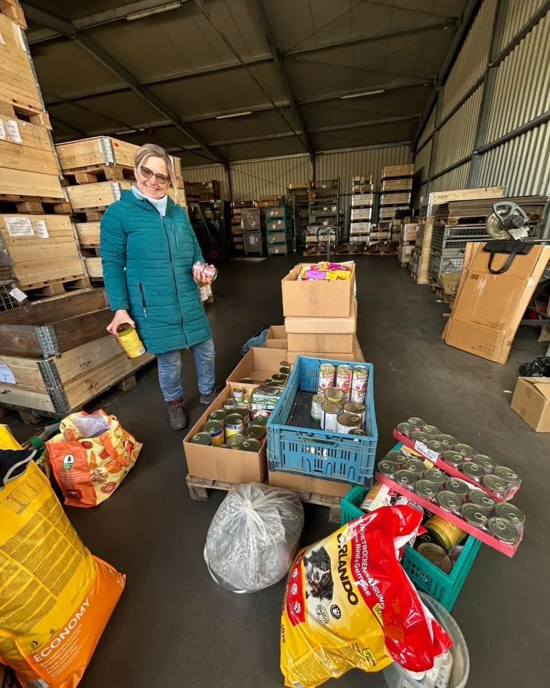 Spendenankunft in Ungarn, Mixed Breed for adoption at Tierschutzverein Hundehilfe Hinterland e.V.