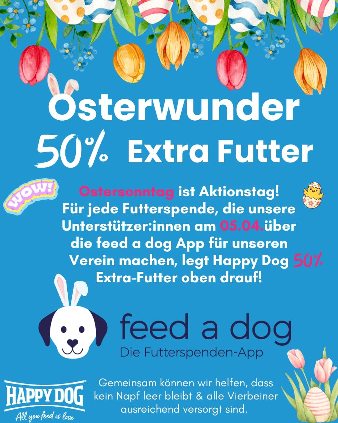 Feed a Dog Osteraktion, Mixed Breed for adoption at Tierschutzverein Hundehilfe Hinterland e.V.