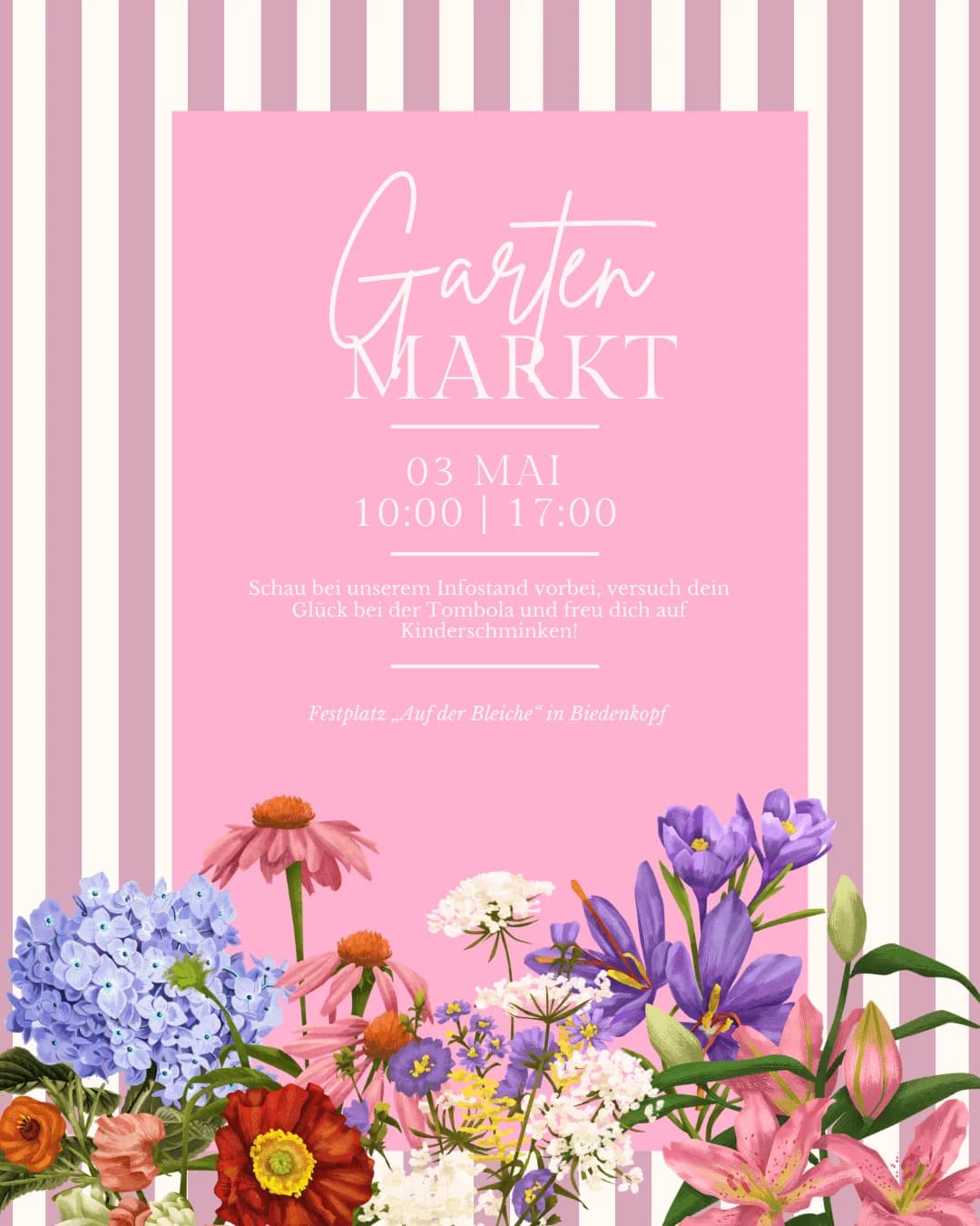 Infostand & Tombola auf dem Gartenmarkt 2026 in Biedenkopf, Mixed Breed for adoption at Tierschutzverein Hundehilfe Hinterland e.V.