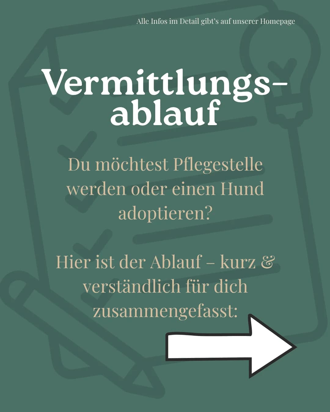 Vermittlungsablauf, Mixed Breed for adoption at Tierschutzverein Hundehilfe Hinterland e.V.