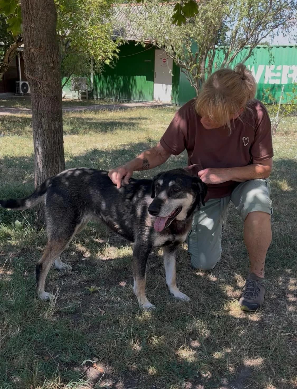 Linci ♀ 🇭🇺, female 7yo Mixed Breed for adoption at Tierschutzverein Hundehilfe Hinterland e.V., Biedenkopf
