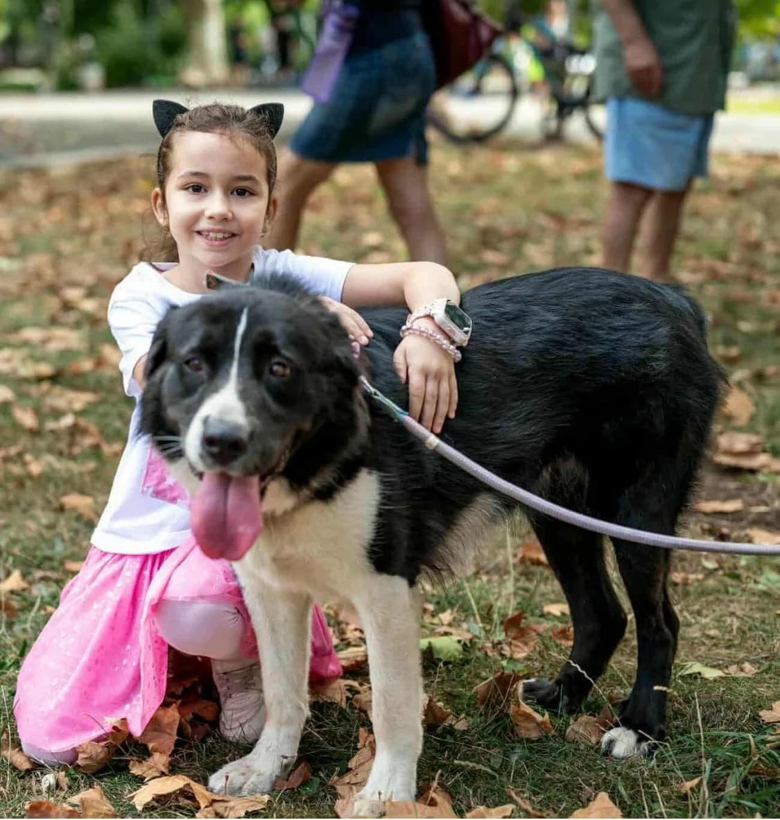 Jessie ♀ 🇩🇪, female Mixed Breed for adoption at Tierschutzverein Hundehilfe Hinterland e.V., Biedenkopf