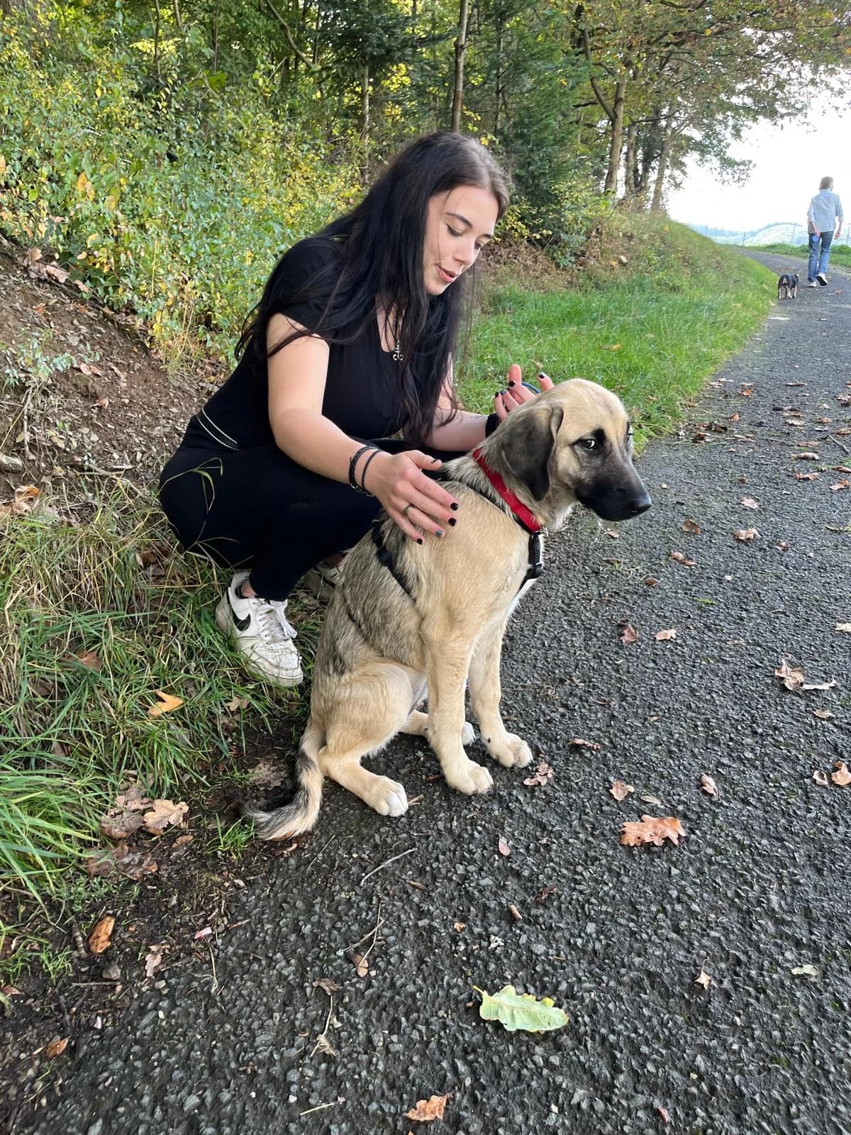 Lora ♀ 🇩🇪, female puppy Mixed Breed for adoption at Tierschutzverein Hundehilfe Hinterland e.V., Biedenkopf
