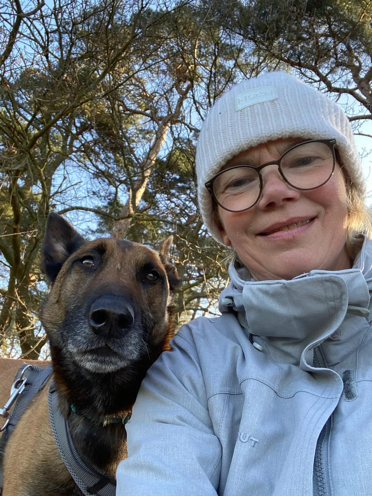 Ben, male mixed breed for adoption at Tierschutzverein Wunstorf und Umgebung von 1934 e.V.