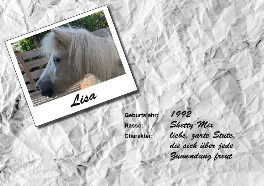 Lisa, Mixed Breed for adoption at Unsere krasse Herde