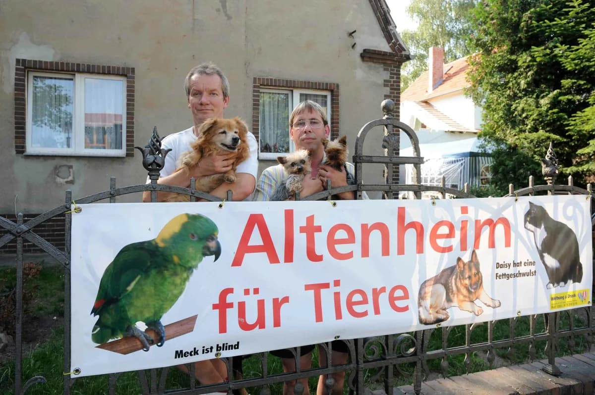Unsere ersten Tiere, male Mixed Breed for adoption at Vogelgnadenhof und Altenheim für Tiere, Berlin