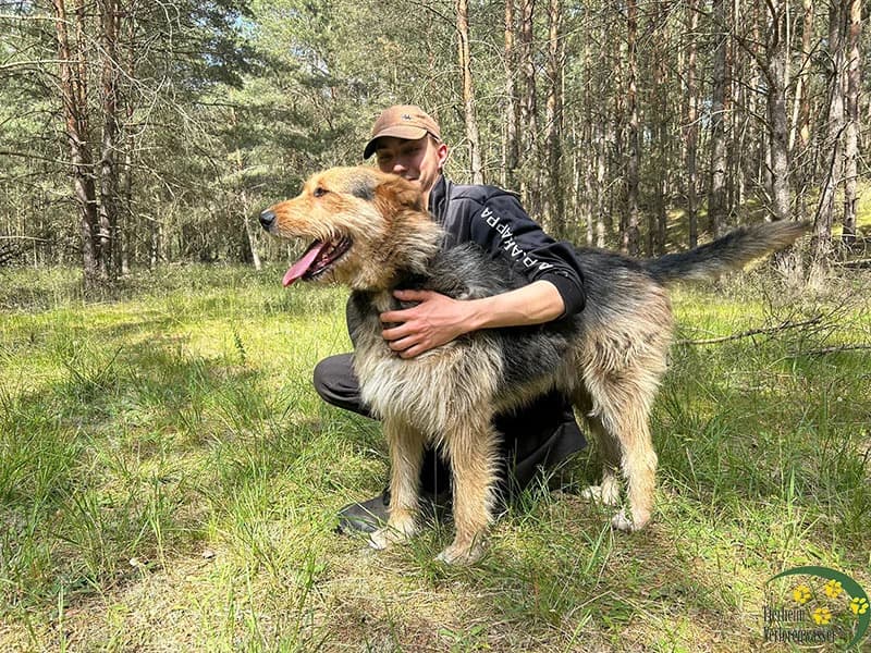 Tabaluga (mit Video), male Mixed Breed for adoption at Waldtierheim (Tierheim Verlorenwasser)
