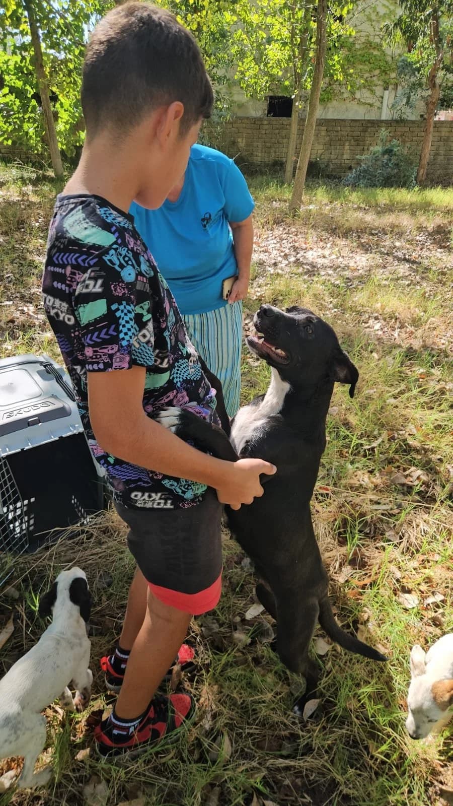 GENNARINA, female young Mixed Breed for adoption at Why Not Association gUG