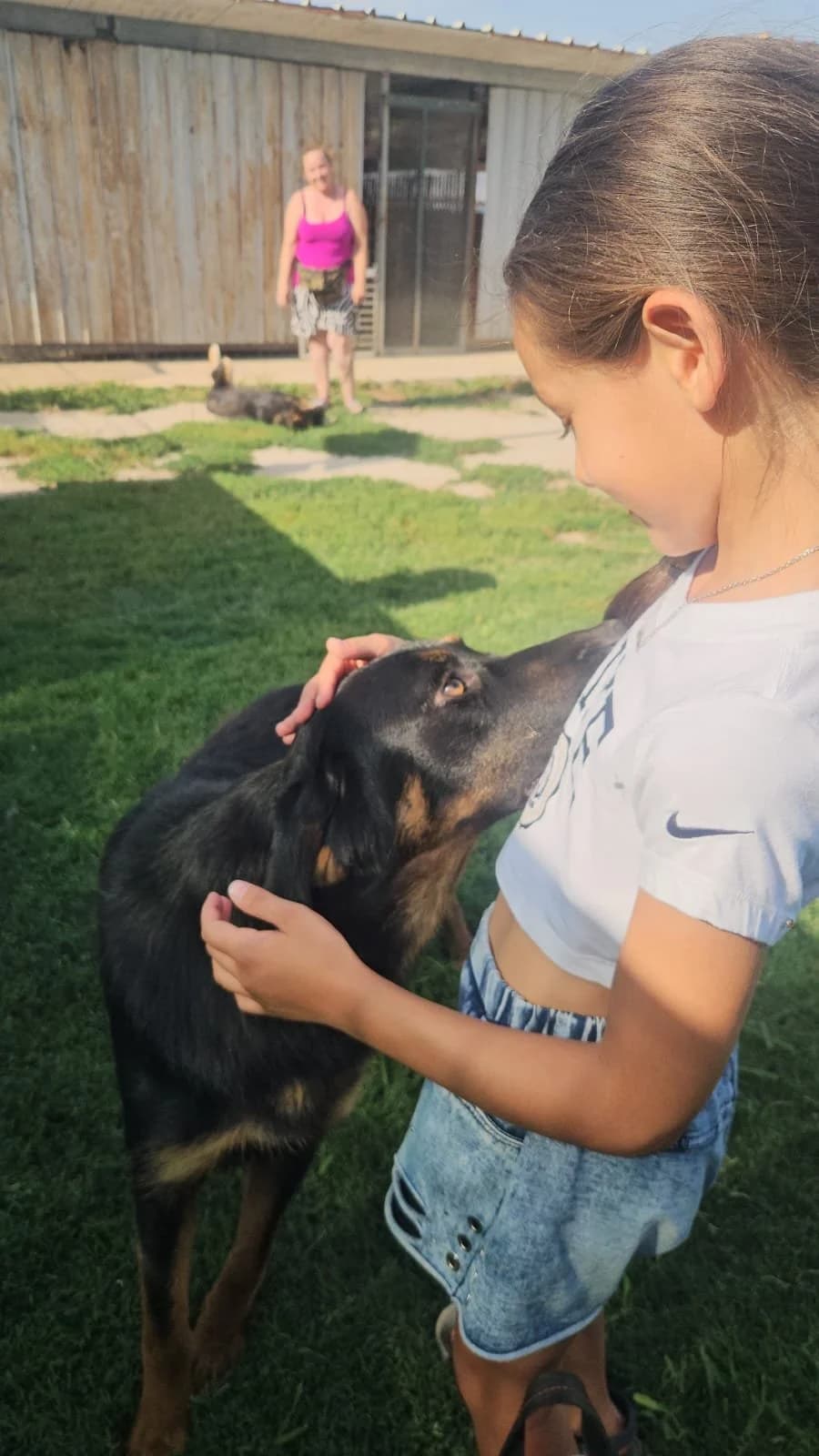 SOFIA, young Mixed Breed for adoption at Why Not Association gUG