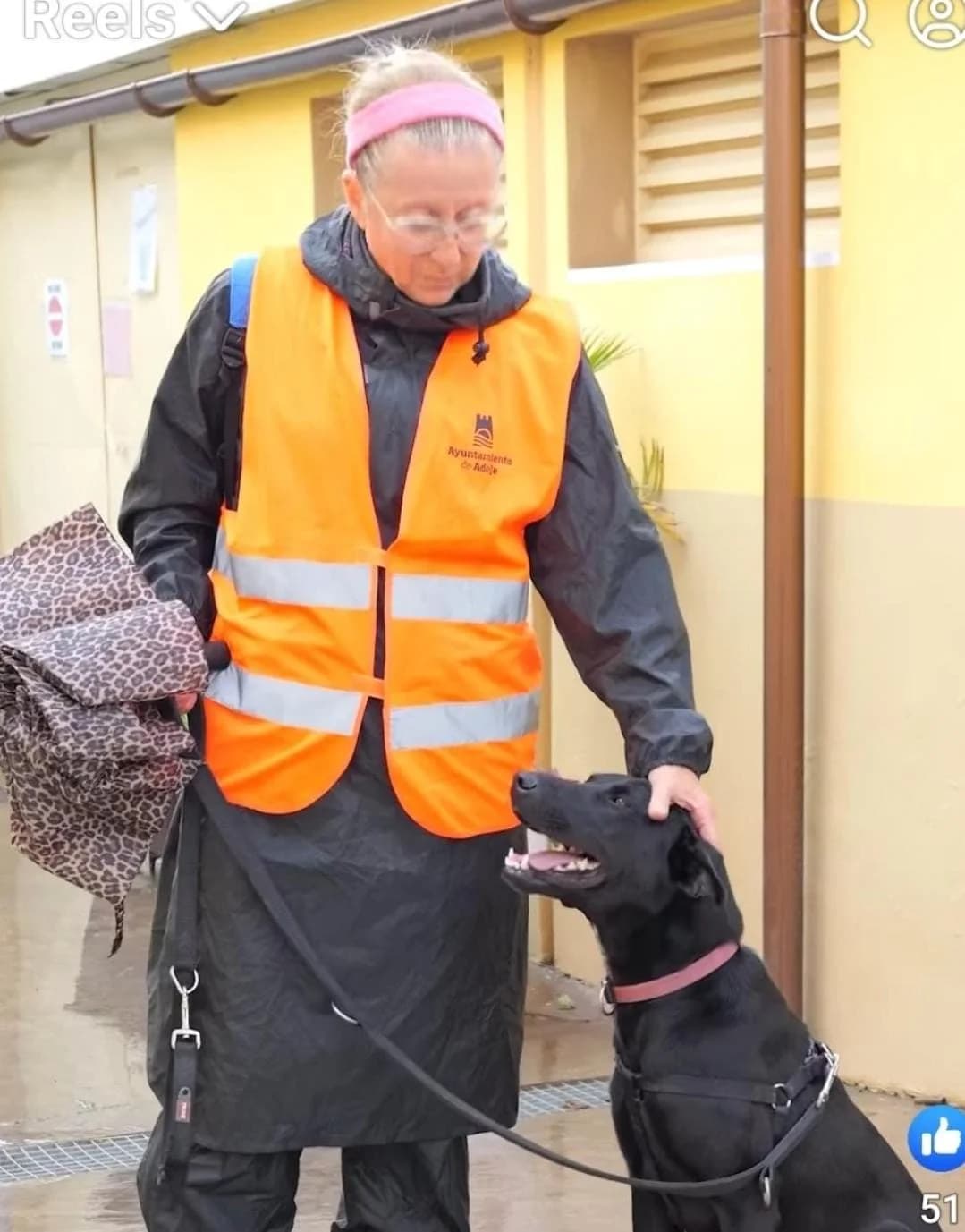 Nisa, female Mixed Breed for adoption at Refugio Acción del Sol Tenerife