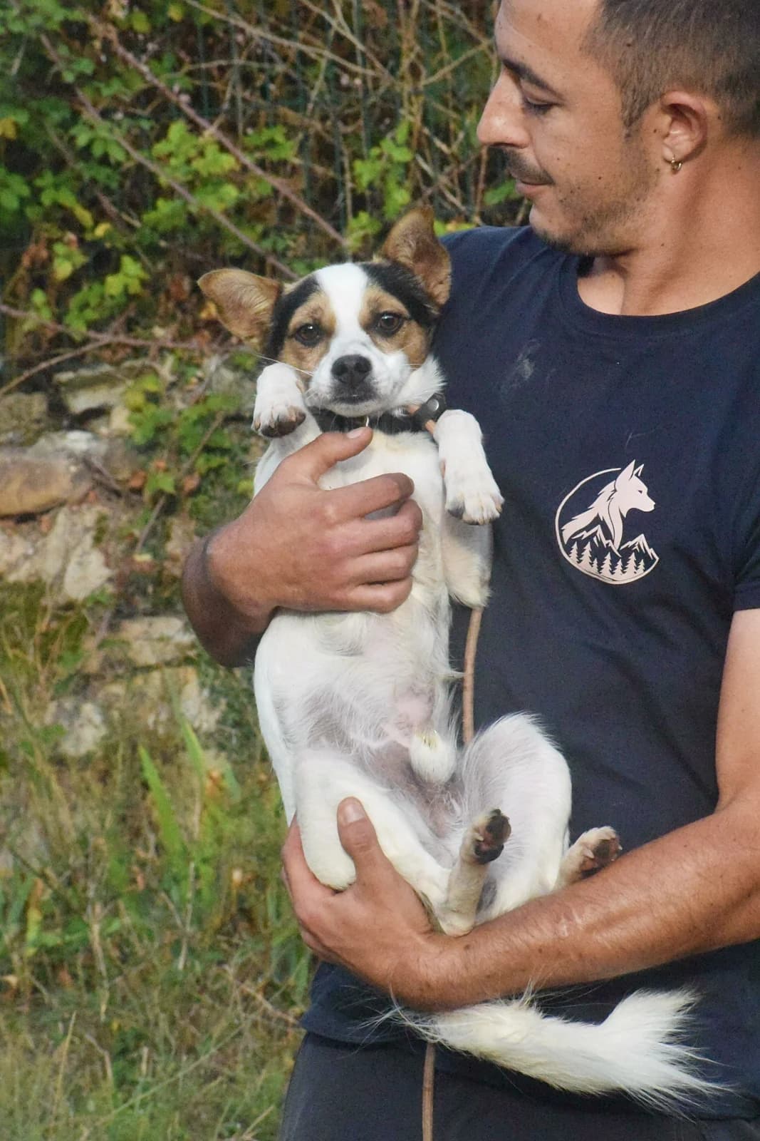 RASTI, male Mixed Breed for adoption at Adopta en los Abedules