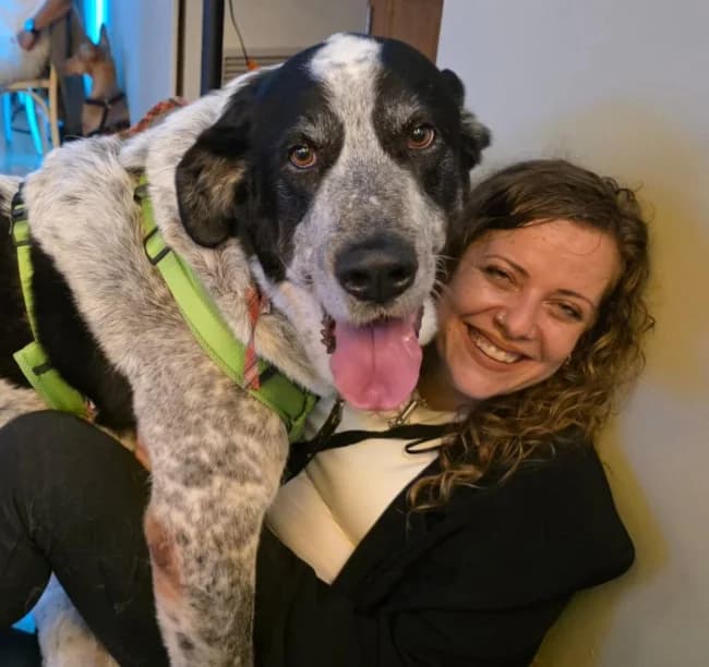 Pique inri, male 7yo Mixed Breed for adoption at ALBA Protectora Madrid, Madrid