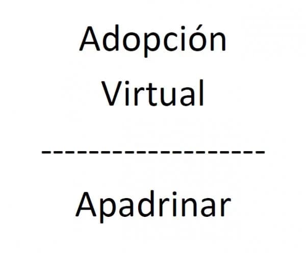 APADRINAR, female 6yo Mixed Breed for adoption at A.D.A. Noguera