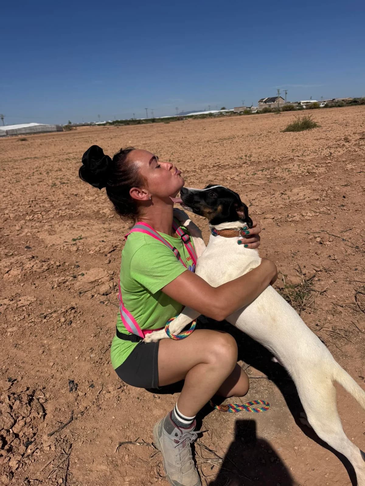 ORSON, male Mixed Breed for adoption at Murcia), Lips Rescue