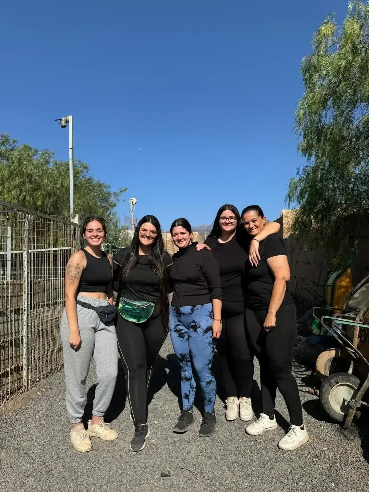 Volunteering is the voice of the people put into action, Mixed Breed for adoption at Live PAWS Tenerife