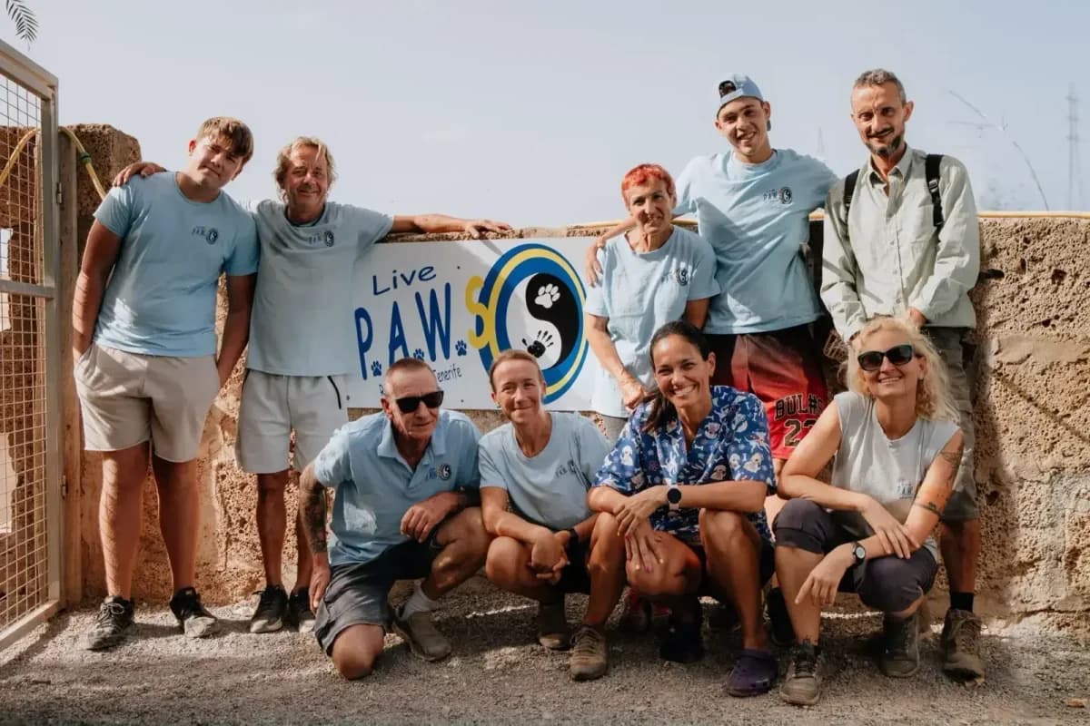 Volunteering is the voice of the people put into action, Mixed Breed for adoption at Live PAWS Tenerife