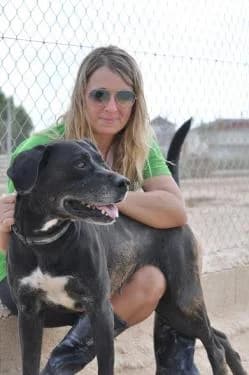 ASIA, female Mixed Breed for adoption at APADAC — Protectora de Animales