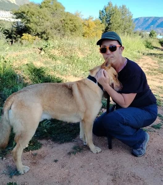 Namira, female Pointer for adoption at Protectora Animales La Nucia, La Nucia