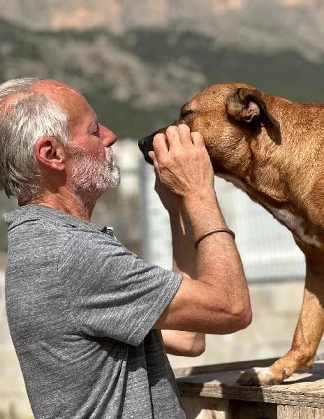 Goofi, male senior Pointer for adoption at Protectora Animales La Nucia, La Nucia