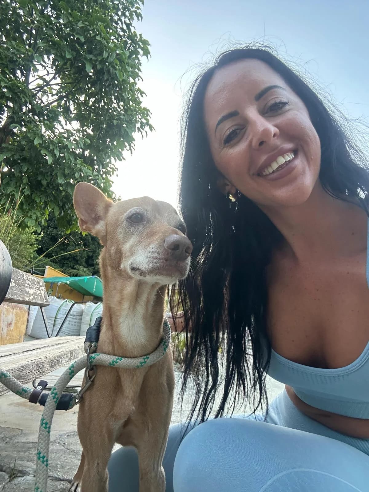Lilo, male 4yo Podenco for adoption at Protectora Malaga, Málaga